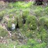 images/Schweden/Schweden 2009/IMG_4498.jpg